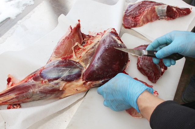 ジビエ肉の下処理をする様子
